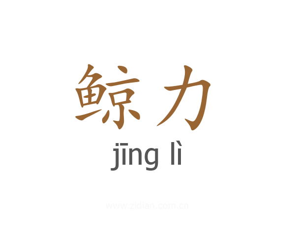 鲸力