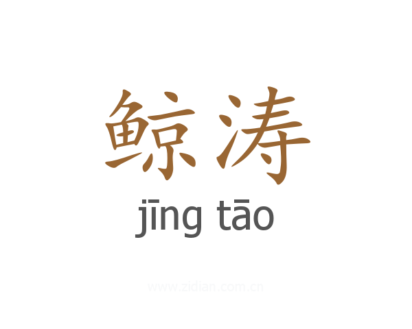 鲸涛
