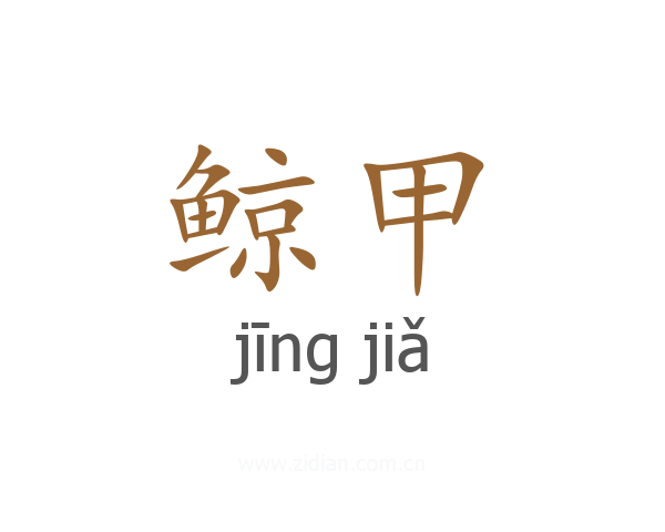 鲸甲