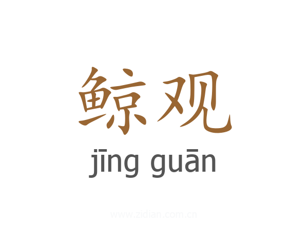 鲸观