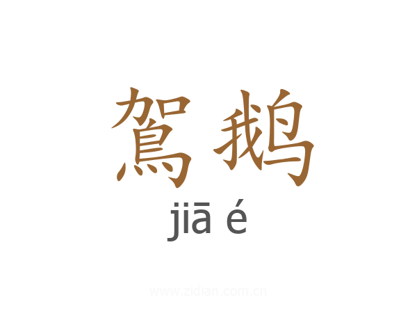 鴐鹅