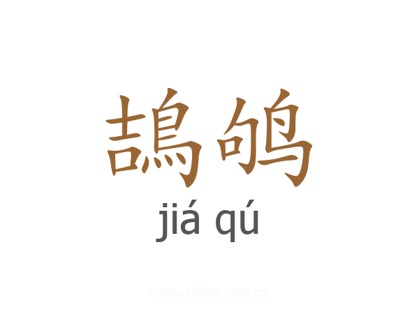 鴶鸲