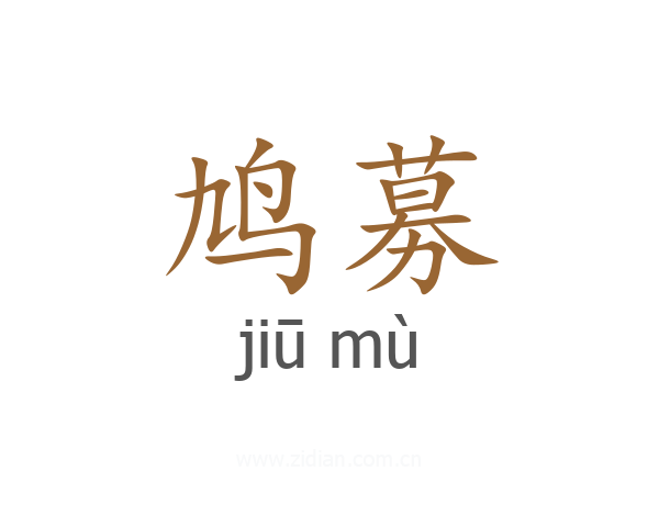 鸠募