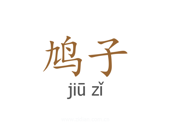 鸠子