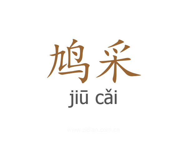 鸠采