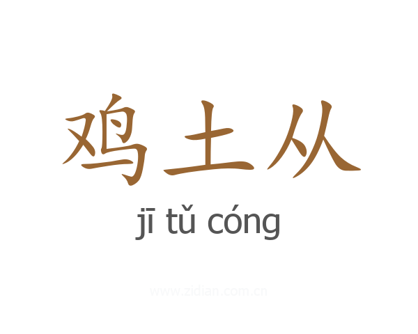 鸡土从