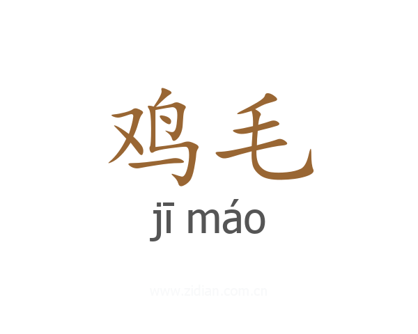 鸡毛
