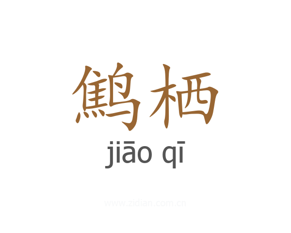 鹪栖