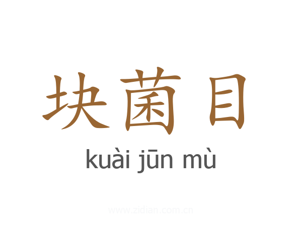 块菌目