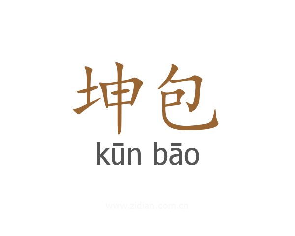 坤包