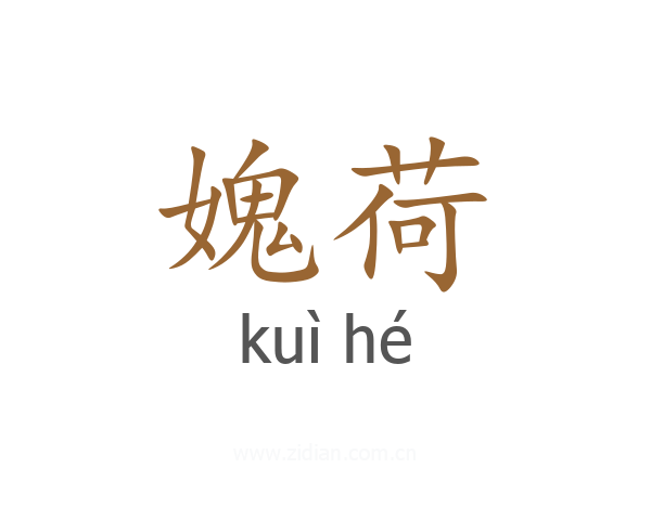媿荷