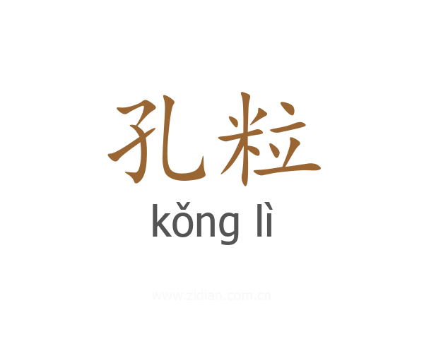 孔粒