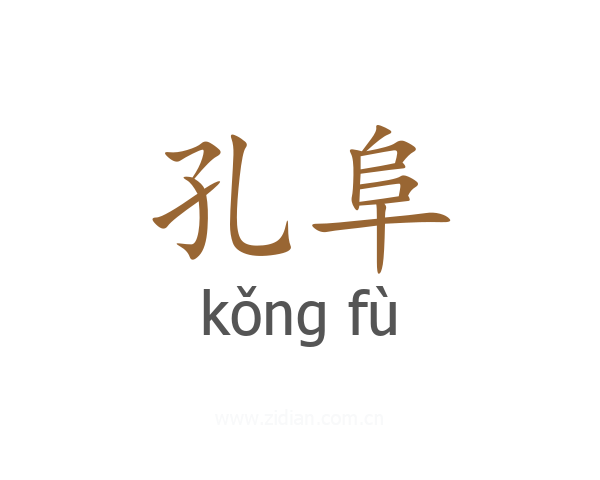 孔阜