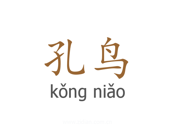 孔鸟