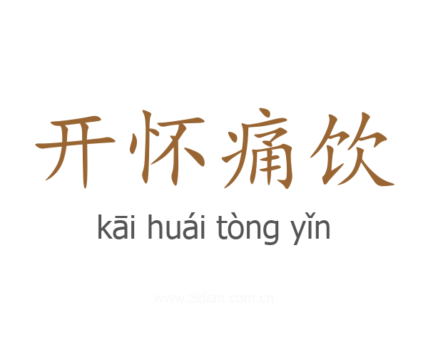 开怀痛饮