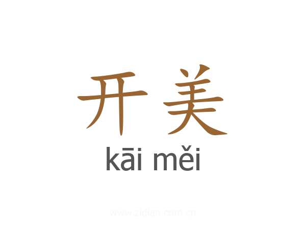 开美