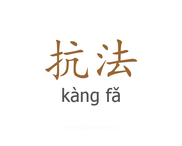 抗法