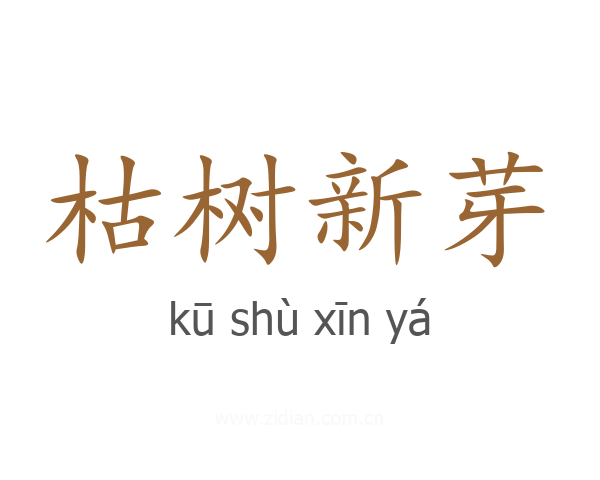 枯树新芽