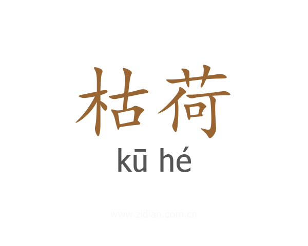 枯荷