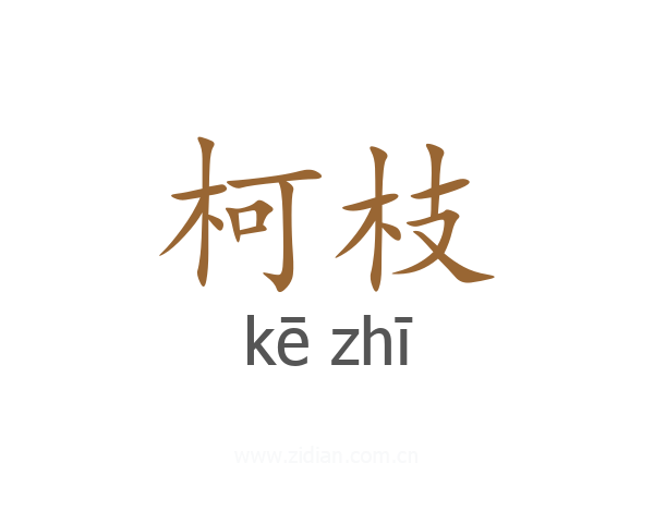 柯枝