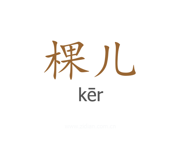 棵儿