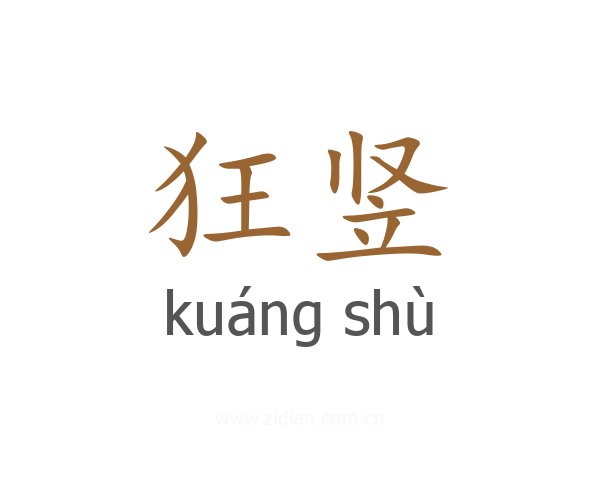 狂竖