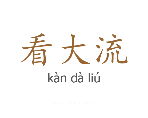 看大流