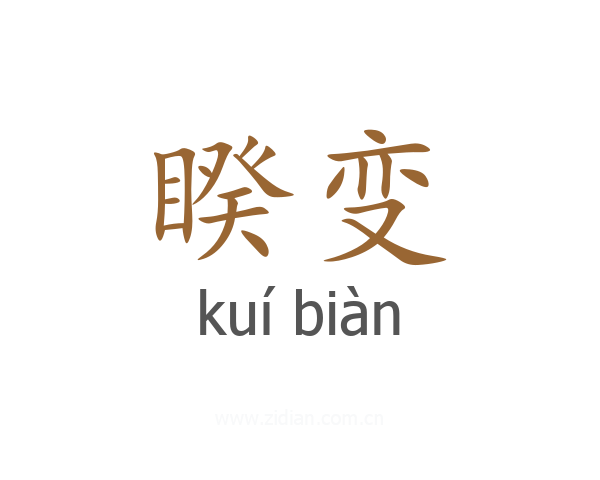 睽变