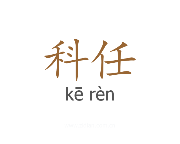 科任