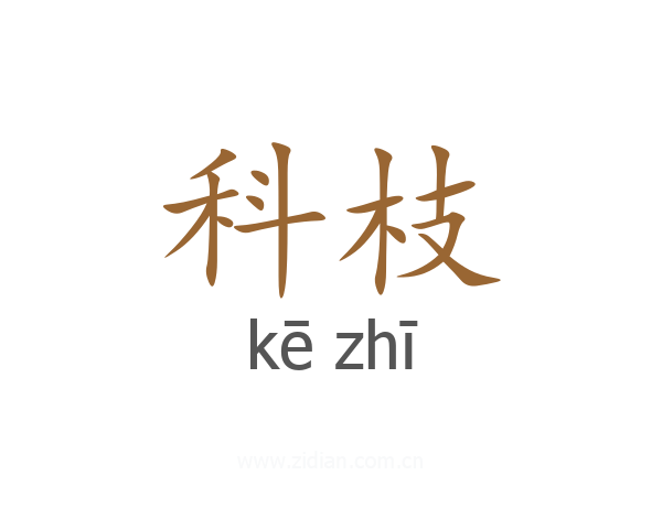 科枝