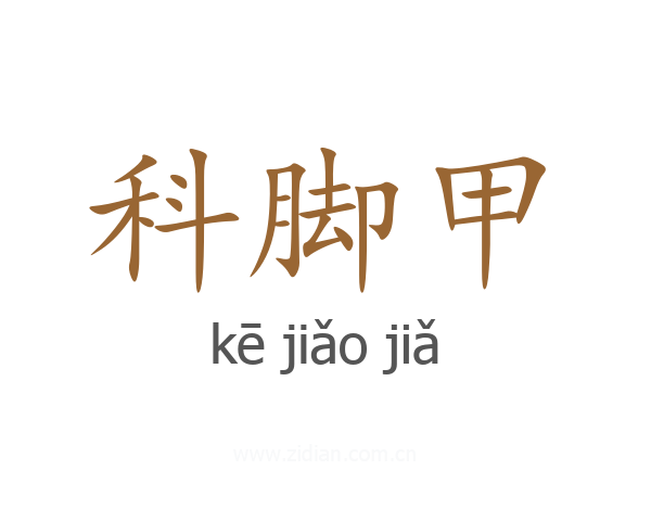 科脚甲