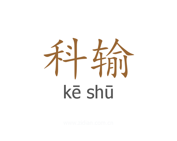 科输
