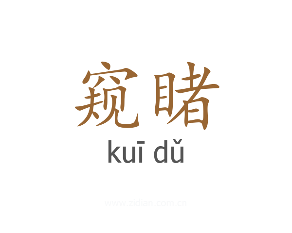 窥睹