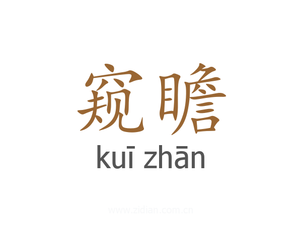 窥瞻