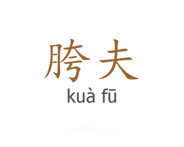 胯夫