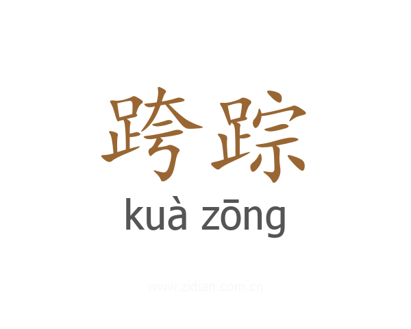跨踪