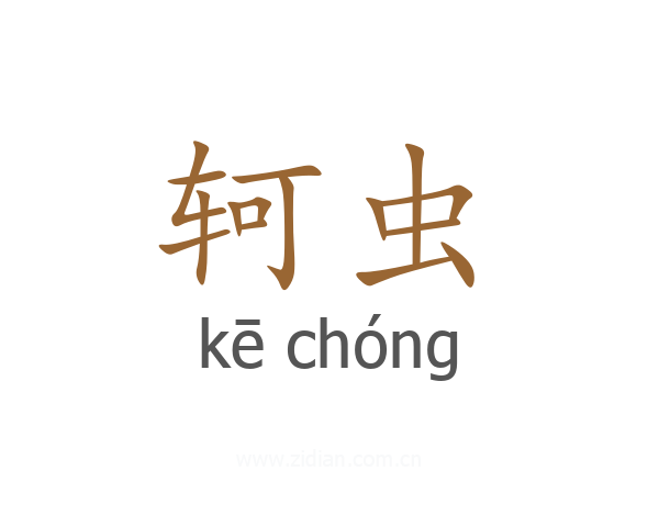 轲虫