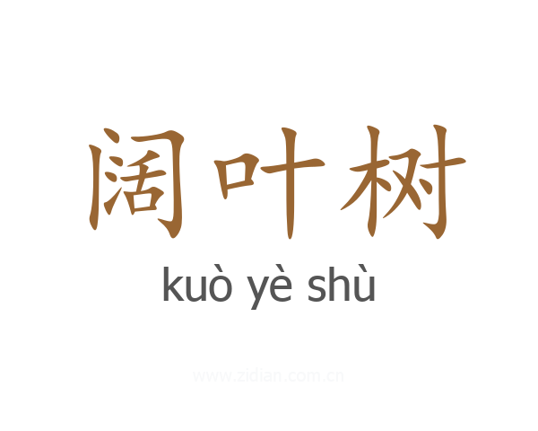 阔叶树