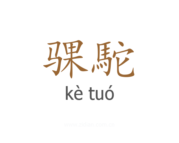 骒駝