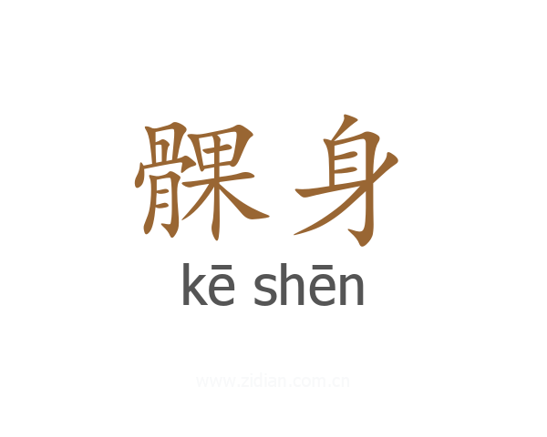 髁身