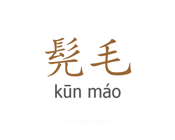 髡毛