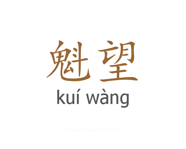 魁望