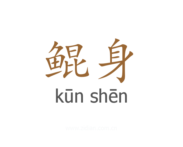 鲲身