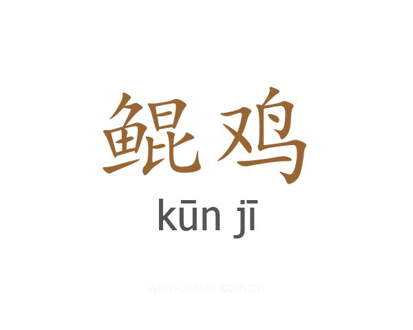 鲲鸡