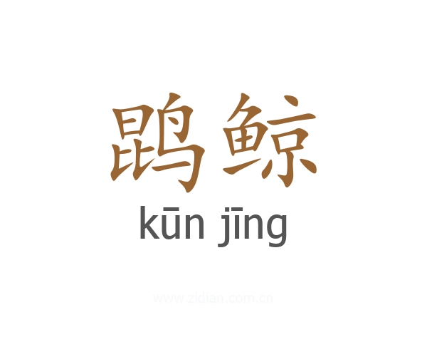鹍鲸