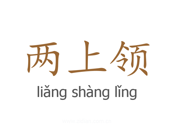 两上领