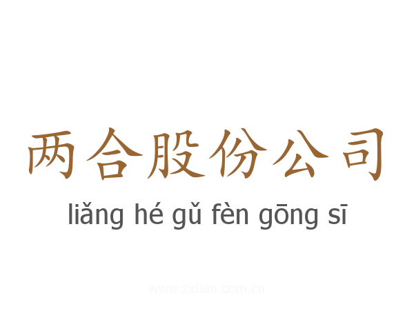 两合股份公司