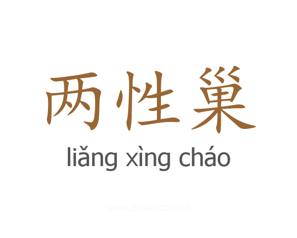 两性巢