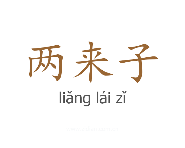 两来子