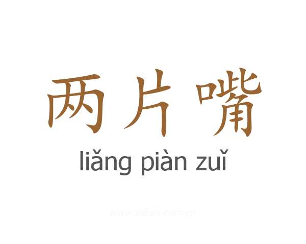 两片嘴